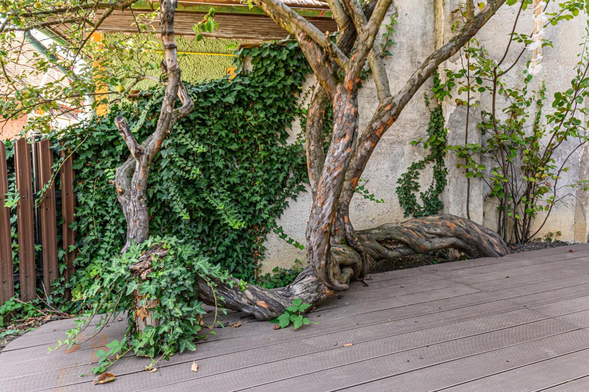 Lagom - Hot Tub Hideout Brasov Exterior photo